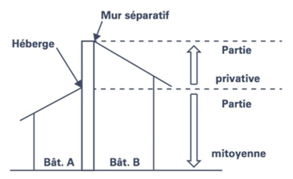 Mitoyenneté